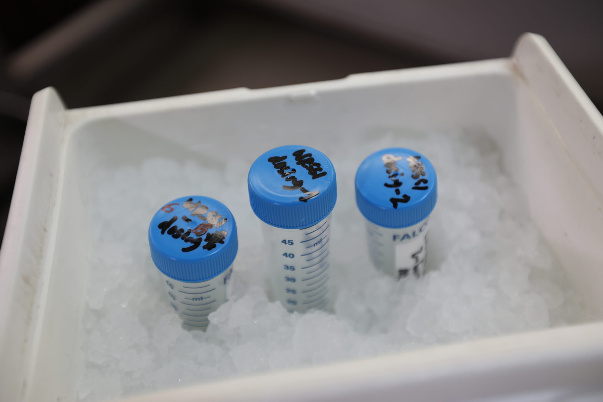 Three labeled blue-capped test tubes sit upright in a container filled with crushed ice. The test tubes are marked with handwritten labels, and the white container provides a secure cooling environment for the samples.