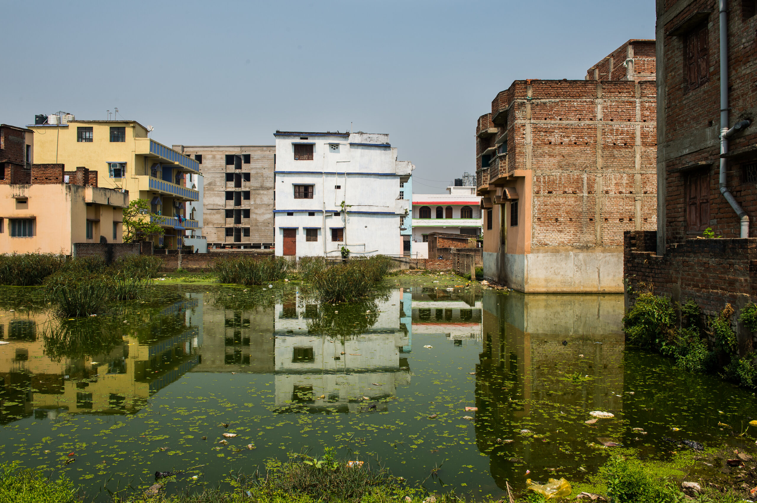 Flooded urban area with still water reflecting nearby residential buildings in various colors. The water is covered with algae and floating debris. The sky is clear, and a few plants emerge from the water's surface.