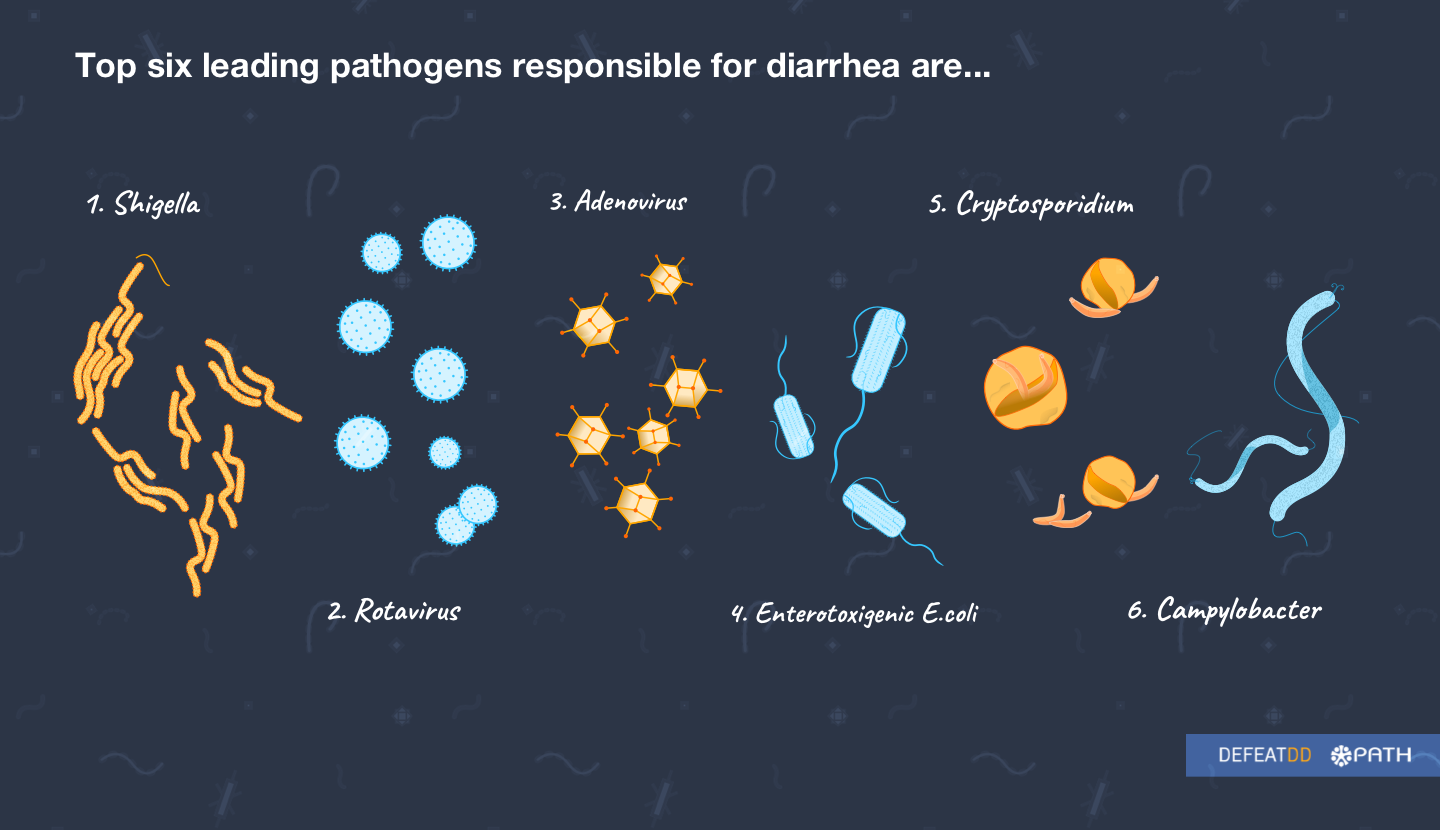 Illustration of the top six pathogens causing diarrhea: 1. Shigella, 2. Rotavirus, 3. Adenovirus, 4. Enterotoxigenic E. coli, 5. Cryptosporidium, 6. Campylobacter. Each is depicted with distinct shapes and colors.