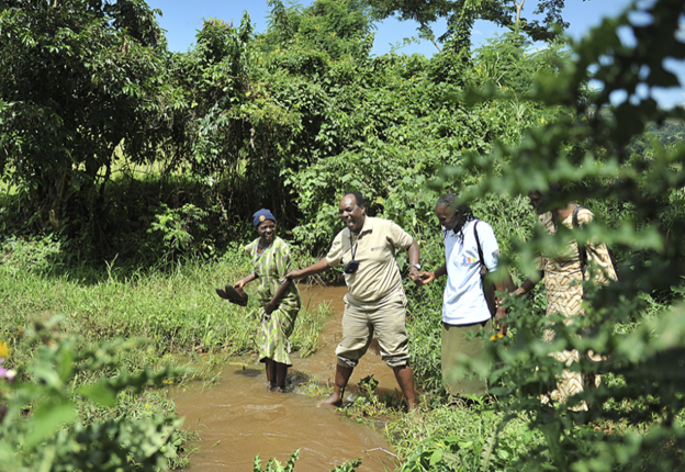 A group of people, including a woman and two men, walk through a shallow stream in a lush, green area. They hold hands to keep their balance as they navigate the water. One man helps the woman avoid slipping, showcasing a cooperative effort.