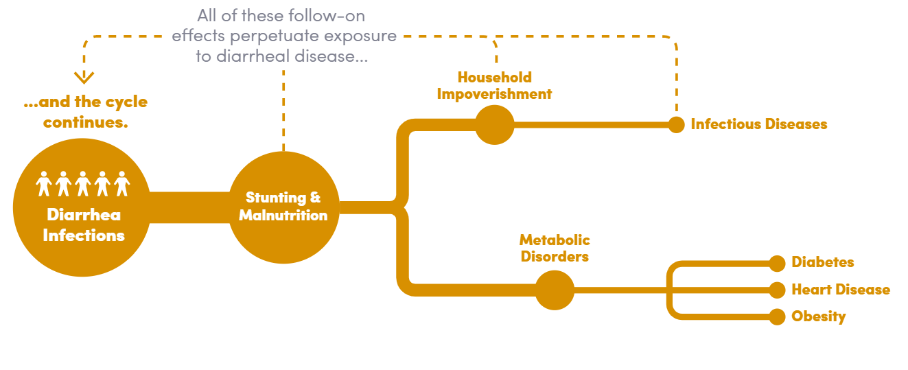 A diagram showing the impact of diarrhea infections on health. It starts with "Diarrhea Infections" leading to "Stunting & Malnutrition," which causes "Household Impoverishment," "Infectious Diseases," and "Metabolic Disorders," further leading to diabetes, heart disease, and obesity.