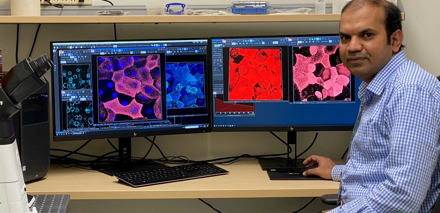 A person wearing a blue checkered shirt is sitting at a desk with two large monitors displaying colorful microscopic images of cells. There is a microscope on the left side of the desk. The person is looking toward the camera with a neutral expression.