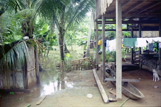 A wooden building on stilts stands above a dirt ground with laundry hanging to dry. Nearby, a small dog looks towards the camera. Floodwaters surround the area, and lush green trees are visible in the background. A few people can be seen in the distance.