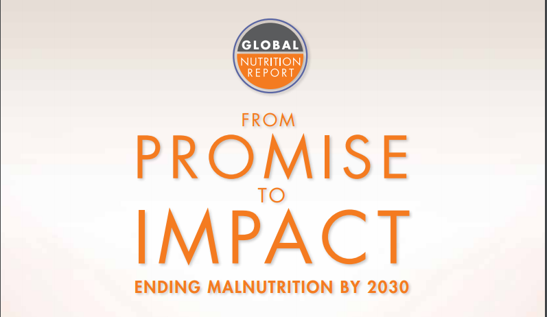 A logo for the "Global Nutrition Report" is at the top of the image. Below the logo, the text reads: "From Promise to Impact: Ending Malnutrition by 2030" in bold, orange letters. The background is light beige with a gradient effect.