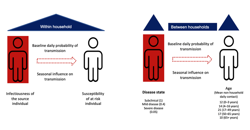 Two side-by-side diagrams show transmission of a virus within and between households. The left diagram illustrates infectiousness and susceptibility within a household, while the right depicts the influence of disease state and age on transmission between households.