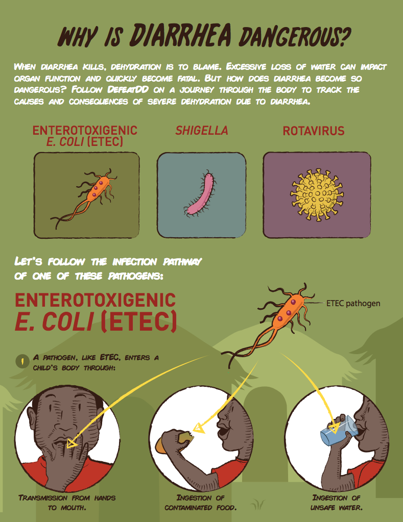 Infographic titled "Why is Diarrhea Dangerous?" It features illustrations of pathogens: Enterotoxigenic E. Coli (ETEC), Shigella, and Rotavirus, followed by a diagram showing the infection pathway of ETEC through ingestion and contamination.