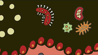 Illustration depicting various microorganisms, including red and orange bacteria, a green virus-like structure, and yellow circular cells on a dark background. The bottom of the image shows a stylized depiction of a cell membrane with red components.