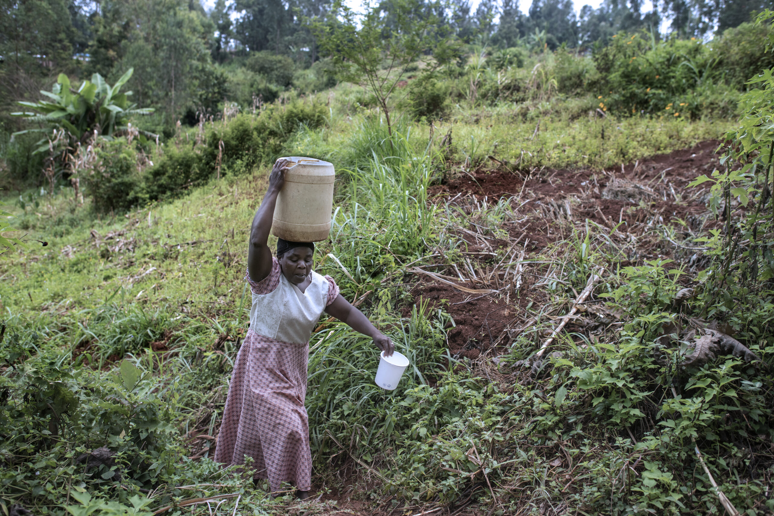 Woman fetching water