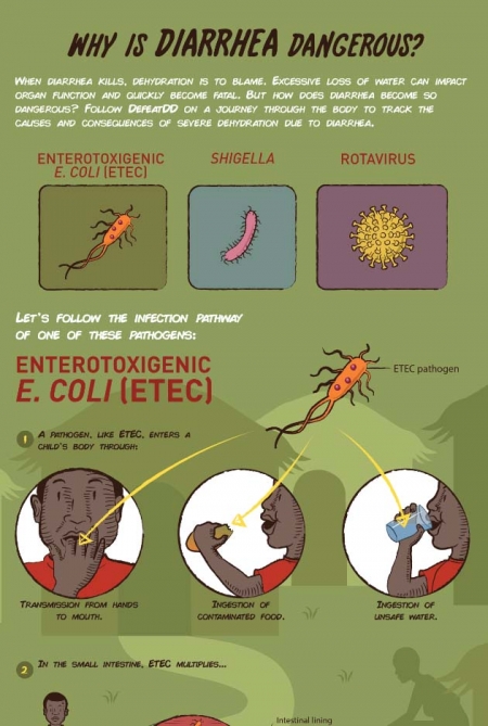 An informational poster titled "Why is Diarrhea Dangerous?" It describes how diarrhea can be fatal due to dehydration and organ failure. The poster depicts the infection pathways of pathogens: Enterotoxigenic E. Coli, Shigella, and Rotavirus, focusing on how E. Coli infects a child.