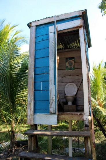 A small outdoor toilet structure with weathered blue wooden walls and a partially open door, revealing a white toilet inside. The building stands on short stilts with two steps leading up to it. Palm fronds are visible in the background.