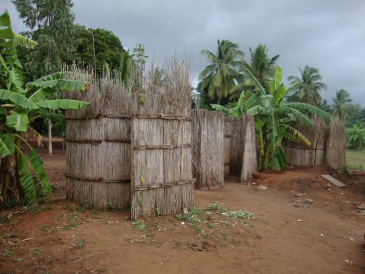 A rural scene featuring round huts made of vertical dried reeds and thatching, set on a dirt clearing. Surrounding the huts are various types of vegetation, including banana plants and palm trees. The sky is overcast, suggesting impending rain or cloudy weather.