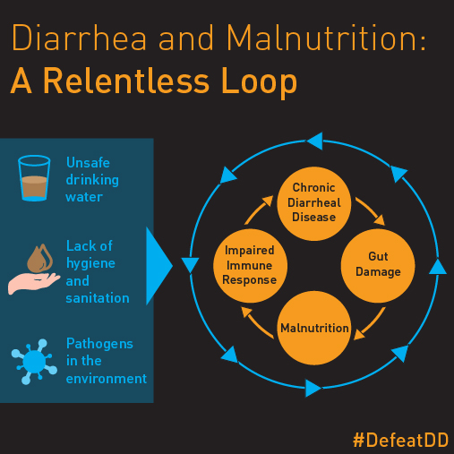 Infographic titled "Diarrhea and Malnutrition: A Relentless Loop." Shows a cycle starting with chronic diarrheal disease leading to gut damage, malnutrition, impaired immune response, and returning to chronic disease. Causes listed: unsafe water, poor hygiene, pathogens.