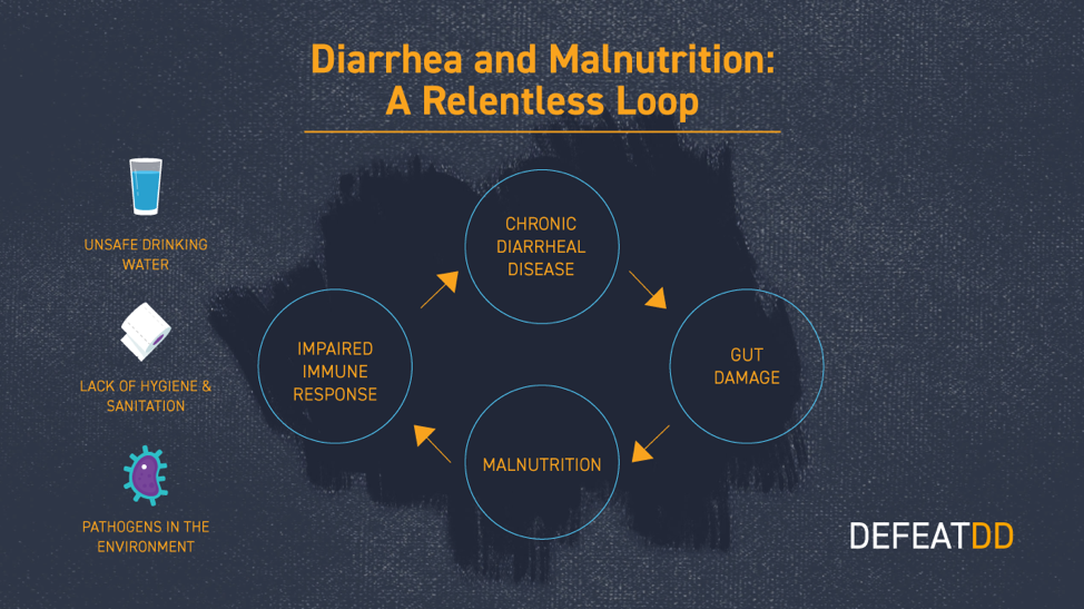 Infographic titled "Diarrhea and Malnutrition: A Relentless Loop" showing a cycle between chronic diarrheal disease, gut damage, malnutrition, and impaired immune response. Causes include unsafe drinking water, lack of hygiene, and environmental pathogens.