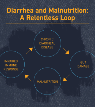 Diagram titled "Diarrhea and Malnutrition: A Relentless Loop." Shows four interconnected circular stages: "Chronic Diarrheal Disease," "Gut Damage," "Malnutrition," and "Impaired Immune Response," highlighting the cyclical nature of these health issues.