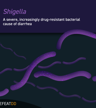 Illustration of Shigella bacteria, displayed as purple rod-shaped organisms against a dark background. The text reads: "Shigella: A severe, increasingly drug-resistant bacterial cause of diarrhea." The DEFEATDD logo is visible at the bottom left corner.