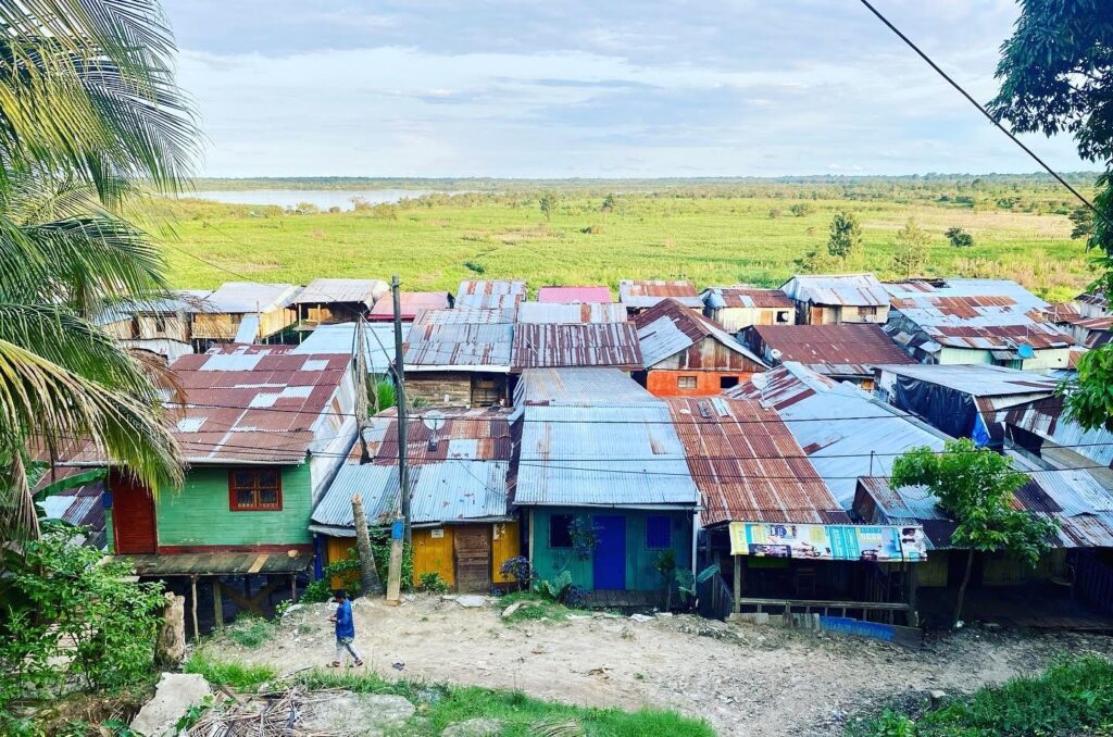 Rustic houses with tin roofs cluster together, evoking a simple life untouched by big data, set amid green fields and a distant river beneath a bright sky. A solitary figure walks along the dirt path in front.