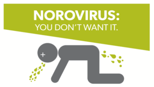 A graphic shows a figure vomiting and having diarrhea, with the text "NOROVIRUS: YOU DON'T WANT IT." above in bold white letters on a green background.
