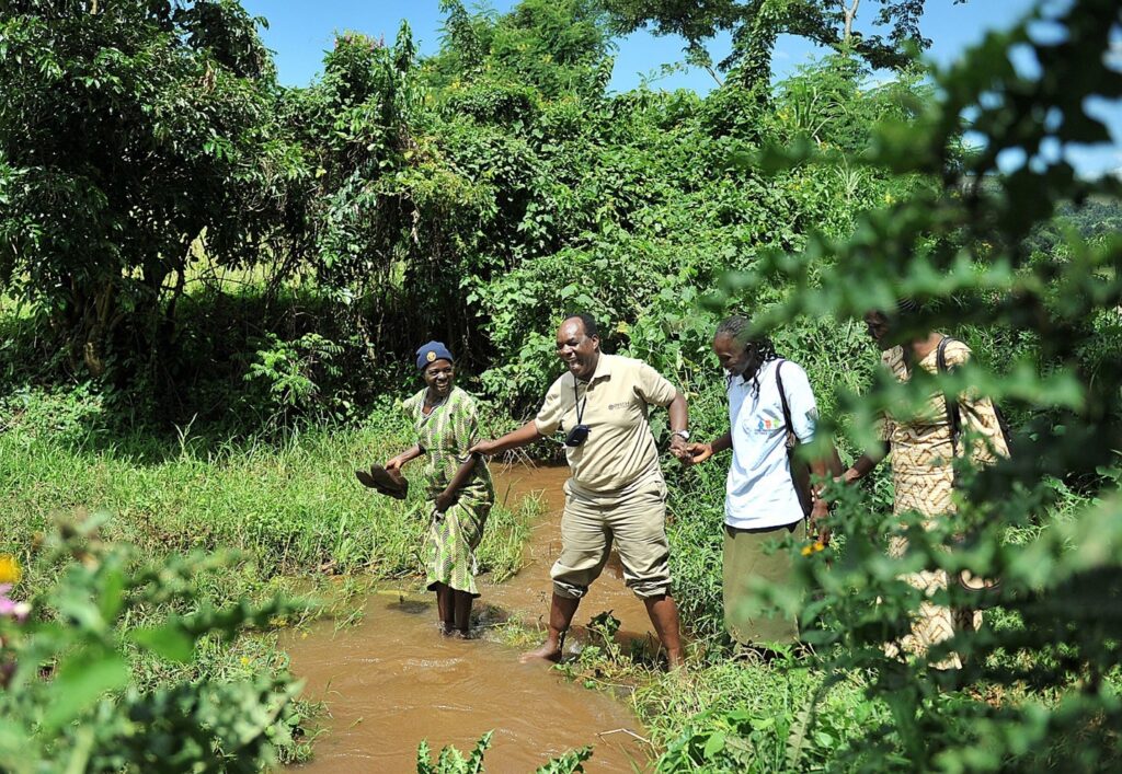 Four people cross a shallow, muddy stream surrounded by lush green vegetation. One person leads, holding shoes and helping others navigate the water, while the rest follow closely behind in a line.